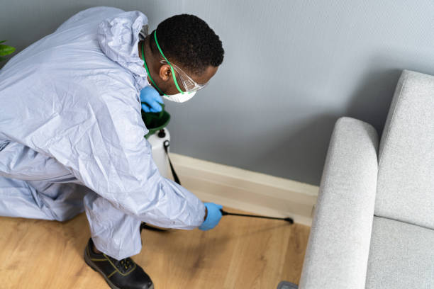 Best Pest Control for Hotels  in Lovelock, NV